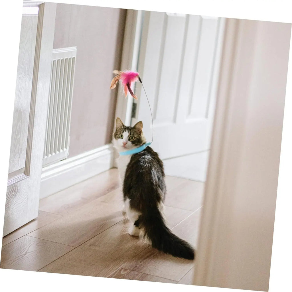velquroo Cat Teaser Wand Collar Toys Silicone Collar Hands Toy with Bell for Play and Exercise velquroo