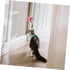 velquroo Cat Teaser Wand Collar Toys Silicone Collar Hands Toy with Bell for Play and Exercise velquroo
