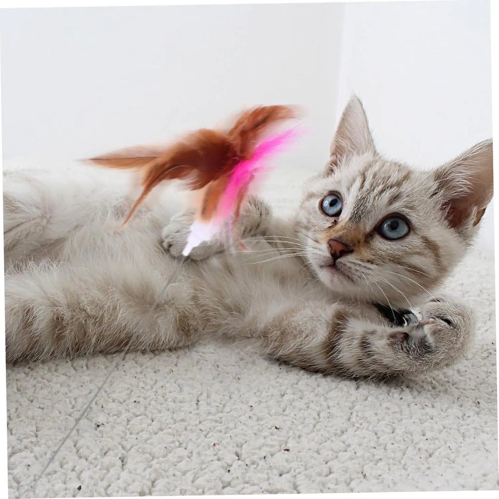 velquroo Cat Teaser Wand Collar Toys Silicone Collar Hands Toy with Bell for Play and Exercise velquroo
