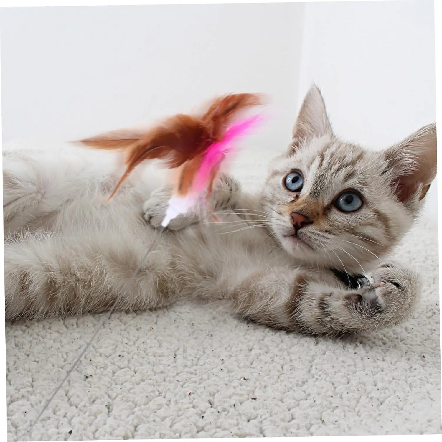 velquroo Cat Teaser Wand Collar Toys Silicone Collar Hands Toy with Bell for Play and Exercise velquroo