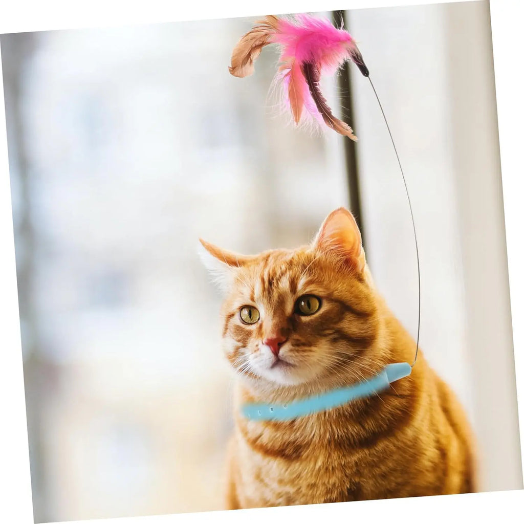 velquroo Cat Teaser Wand Collar Toys Silicone Collar Hands Toy with Bell for Play and Exercise velquroo