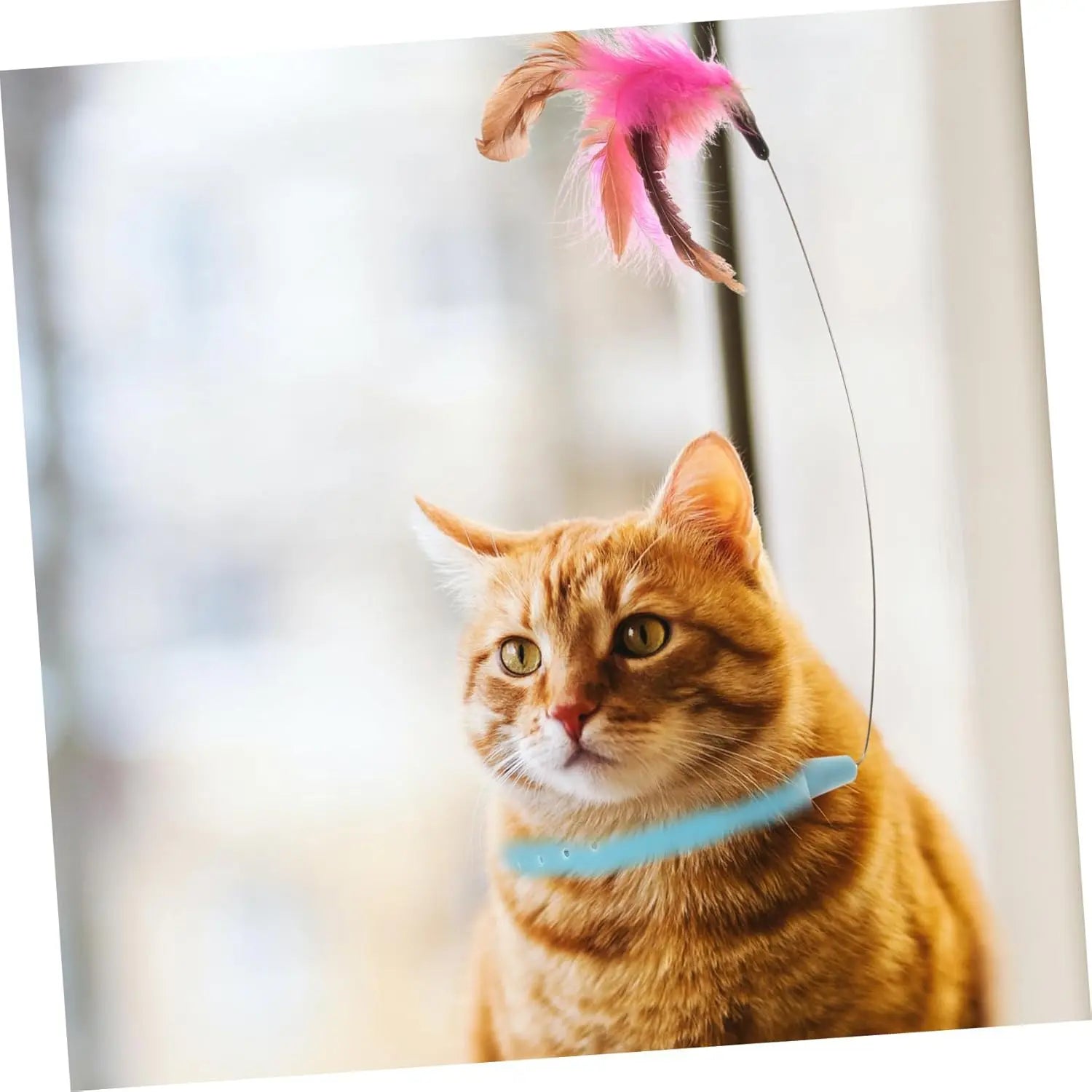 velquroo Cat Teaser Wand Collar Toys Silicone Collar Hands Toy with Bell for Play and Exercise velquroo