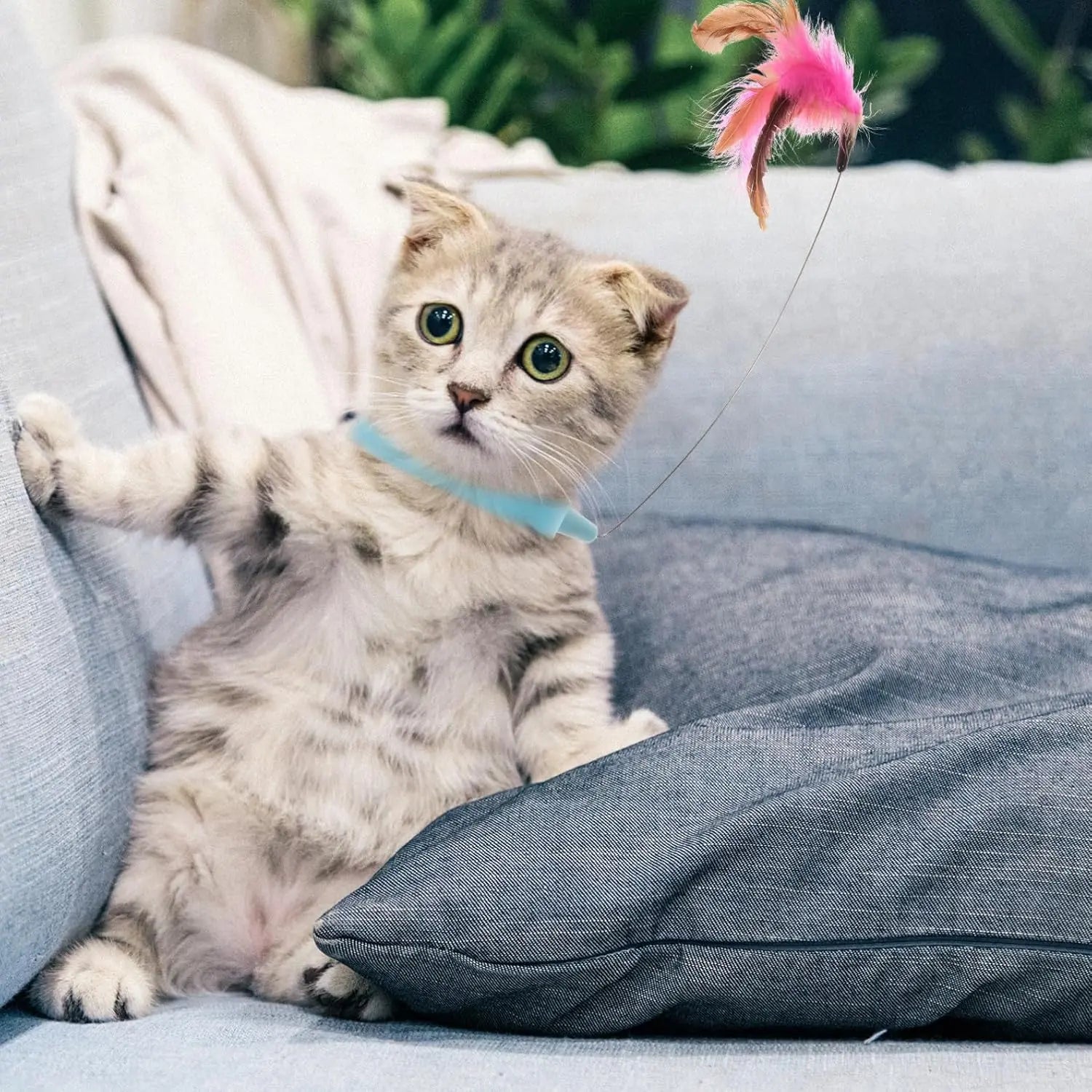 velquroo Cat Teaser Wand Collar Toys Silicone Collar Hands Toy with Bell for Play and Exercise velquroo