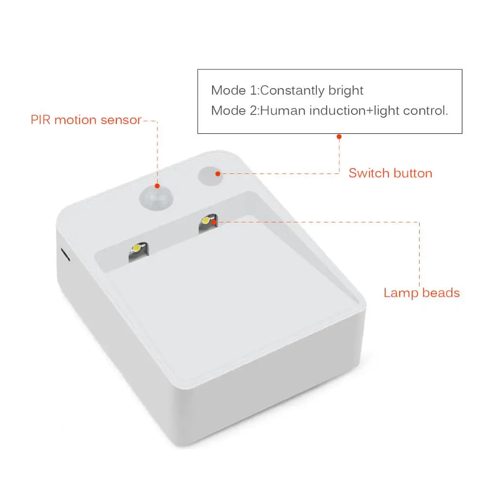 LED Night Light