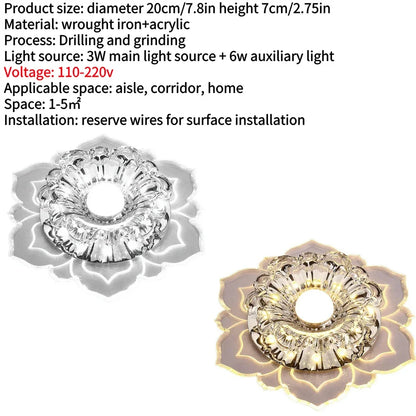 LED Ceiling Fixture
