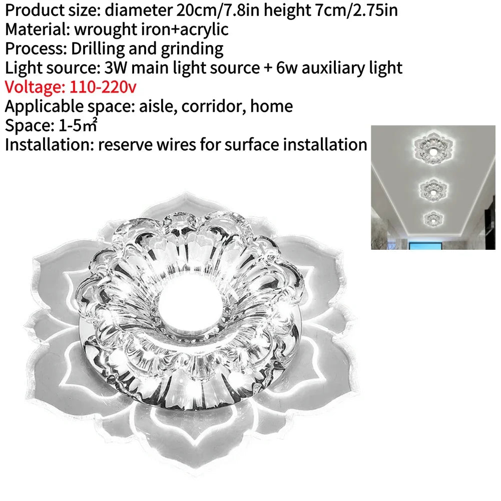 LED Ceiling Fixture