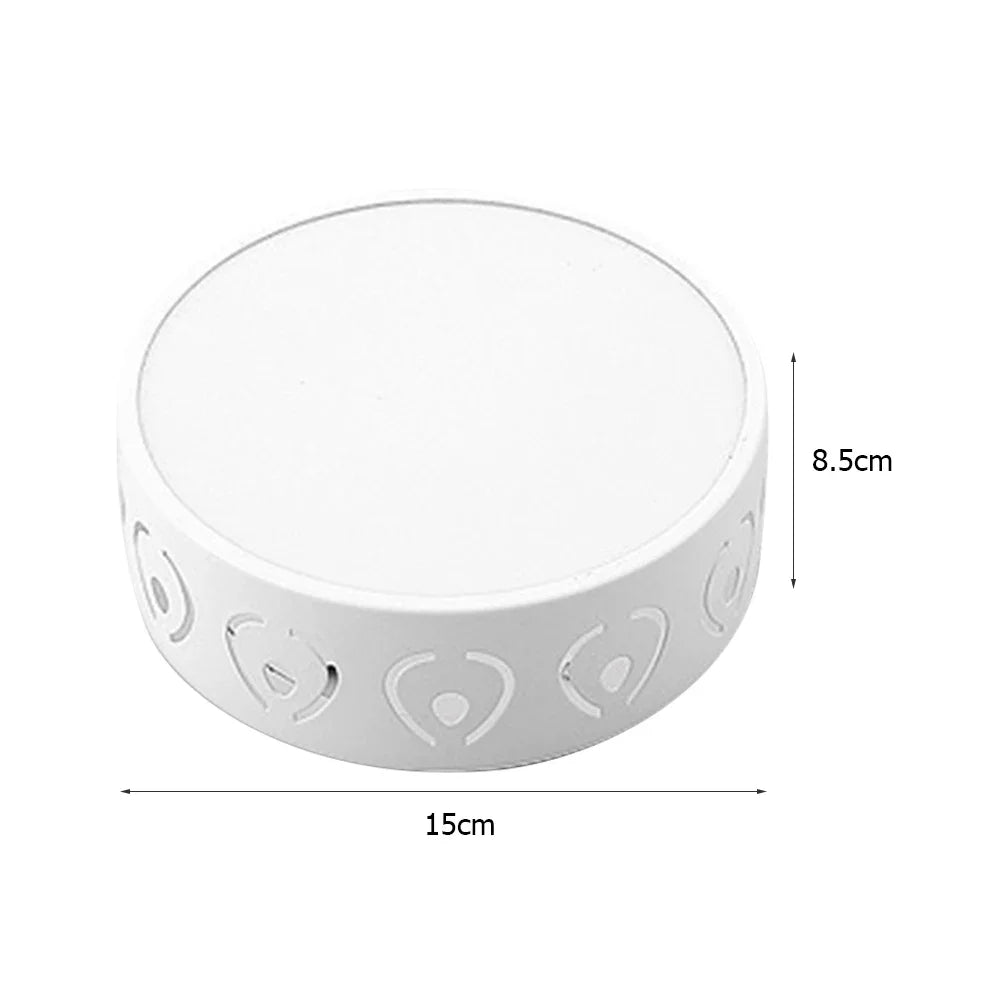 LED Ceiling Fixture