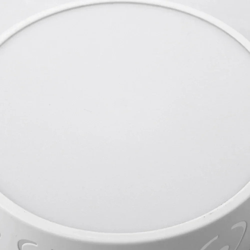 LED Ceiling Fixture