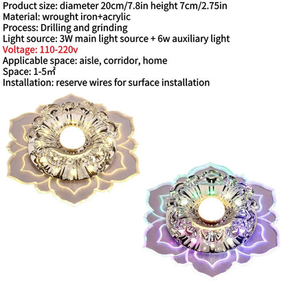 LED Ceiling Fixture